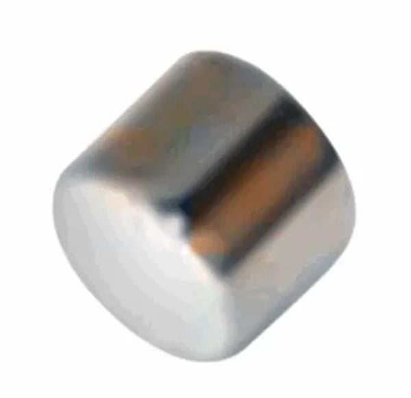 Maxwell SP2161 Magnet/Mıknatıs 6X4