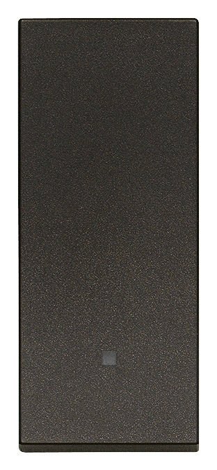 Vimar Linea 30024.G 1P 10AX 2 Yollu Tahtıravelli Anahtar Siyah