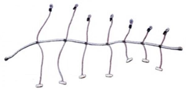 Yelken sarma lastiği (ahtapot) 8MMX300CM