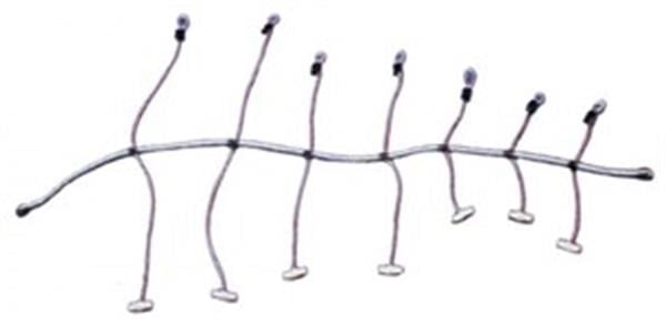 Yelken sarma lastiği (ahtapot) 10MMX300CM